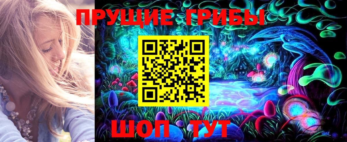 Галлюциногенные грибы GOLDEN TEACHER  Галлюциногенные грибы Magic Shrooms  Вход с VPN  Кандалакша 